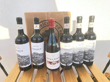 2019 Rodríguez de Vera, Sorrasca Petit Verdot (x5) & 2023, Nieuw