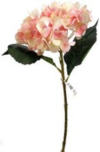 Hortensia Hydrangea Peach Zijdenbloem Single 46 cm