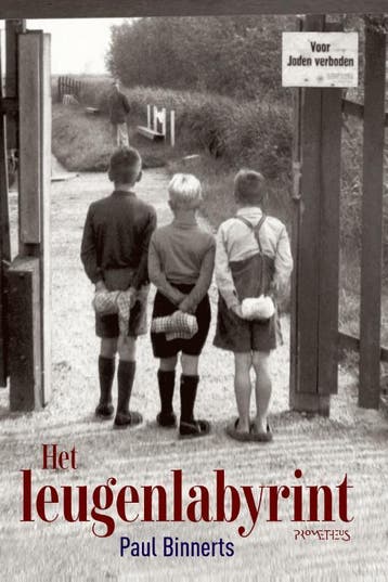 Het leugenlabyrint 9789044647259 Paul Binnerts, Verzenden, Paul Binnerts