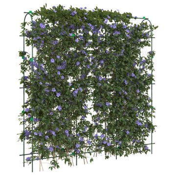 vidaXL Plantenklimrek U-vorm 181x31x182,5 cm staal, Tuin en Terras, Verzenden, Nieuw