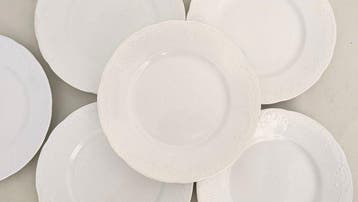 Richard Ginori - PORCELLANA MEDIOLANUM - Tafelservies (6) -