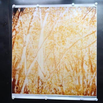 Stefanie Schneider - Indian Summer II (Stranger than