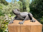 Sculpture, Kikker - 26 x 38,5 x 14 cm - 14 cm - Composite, Antiquités & Art