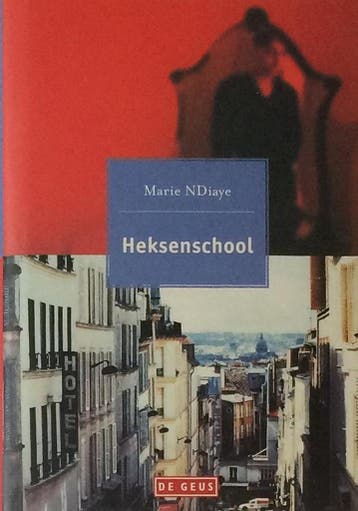 Heksenschool 9789052264813 M. NDiaye, Verzenden, M. NDiaye