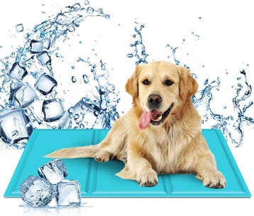Koelmat Hond & Kat - 50x90 cm - Blauw - Nobleza, Verzenden, Nieuw