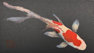 Little Comet 4 Fortune Carp Koi fish on Black - Limited