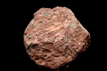 Dinosaurus - Fossiele matrix - Hadrosaurus or, Verzamelen