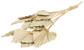 Palmspear Palm Blad 10 stuks