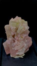 Tourmaline naturelle multicolore Groupe de cristal - Hauteur