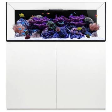 WaterBox REEF 130.4 wit, Verzenden