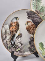 Franklin Porzellan – Vogelmotiv-Zierteller – Limoges