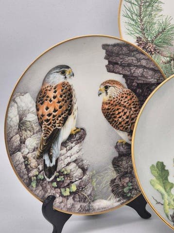 Franklin Porzellan – Vogelmotiv-Zierteller – Limoges