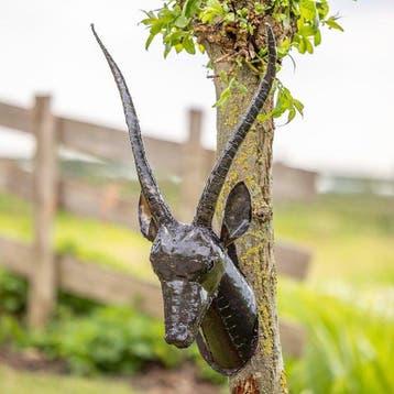 sculptuur, Gazellekop als wandhanger - 800 mm - Metaal