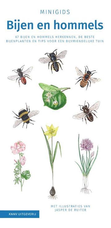 Minigids Bijen en Hommels / Minigids 9789050117937, Verzenden, Gelezen, Maureen Kemperink