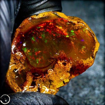 Crystal Opal – Een vuurwerk van licht en kleur 108,95ct-