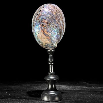 Decoratief ornament - NO RESERVE PRICE - Stunning Pair of