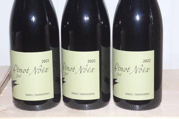 2022 Daniel Twardowski Pinot Noix Spätburgunder 3rd - Moezel, Nieuw