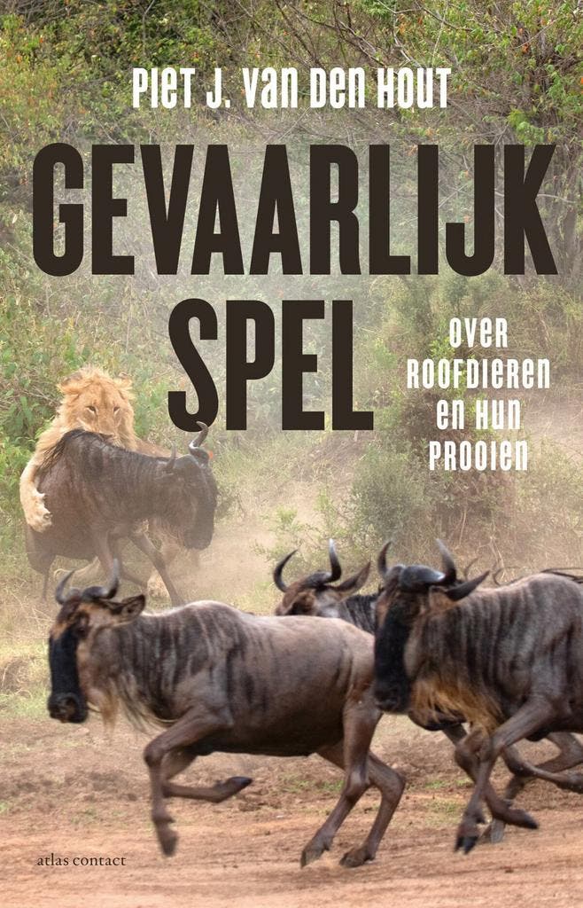 Gevaarlijk spel (9789045038742, Piet J. van den Hout), Boeken, Informatica en Computer, Nieuw, Verzenden
