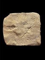 Mesopotamisch Terracotta kleiplaat - 60 mm, Verzamelen