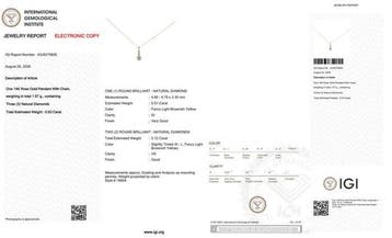 Zonder minimumprijs - Ketting met hanger - 14 karaat