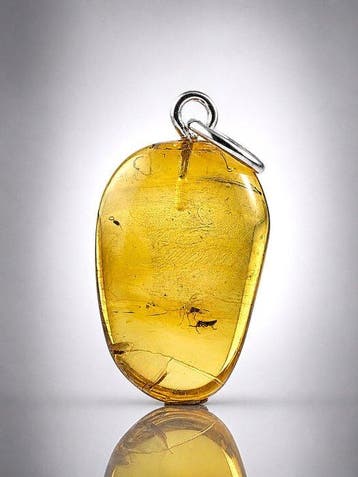 Zeldzaam fossiel insect Baltisch amber hanger – vlieg, Antiek en Kunst