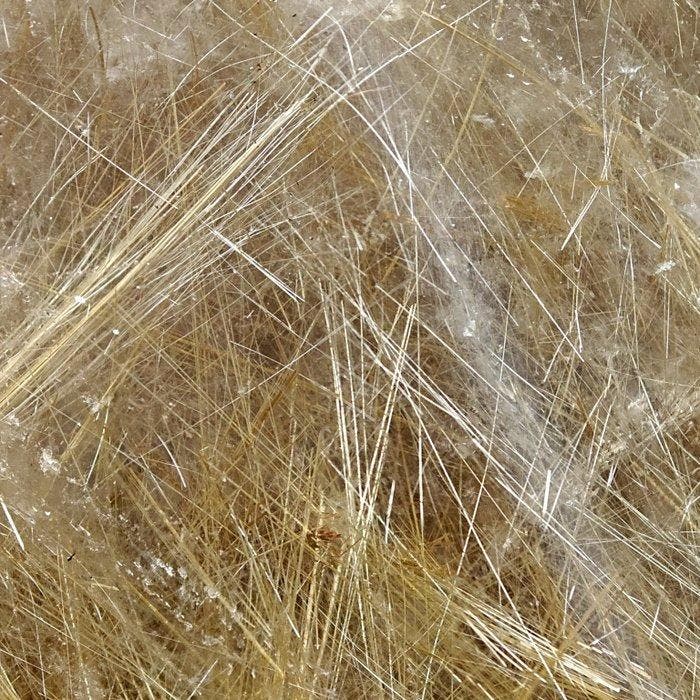 Bos van goudkleurig rutiel in kwarts! 500+ rutielen, Collections, Minéraux & Fossiles