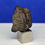 ANGRITE METEORITE -Het oudste plutonische gesteente in het