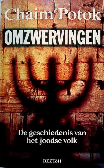 Omzwervingen 9789062917181 Chaim Potok, Verzenden, Gelezen, Chaim Potok