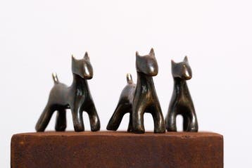 Pancho Porto - DOGS