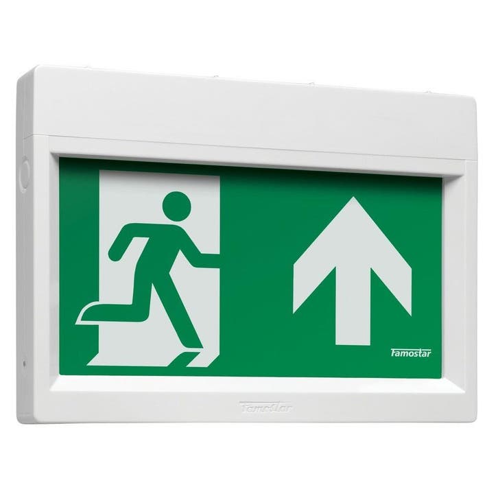 Famostar Go ! Luminaire De Secours - 391860, Doe-het-zelf en Bouw, Bouwverlichting, Verzenden