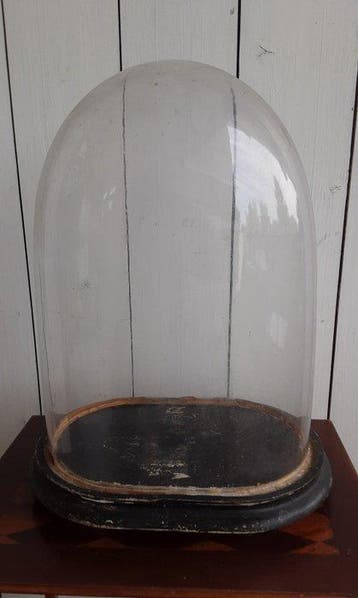 Cloche en verre - Verre, Bois - 1920-1930 - 42 cm