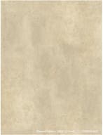 SPC wandpaneel Honey Toned 2800x600 mm klik – nieuw, Ophalen