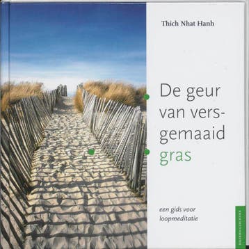 De geur van versgemaaid gras 9789056700782 Thich Nhat Hanh, Verzenden, Zo goed als nieuw, Thich Nhat Hanh