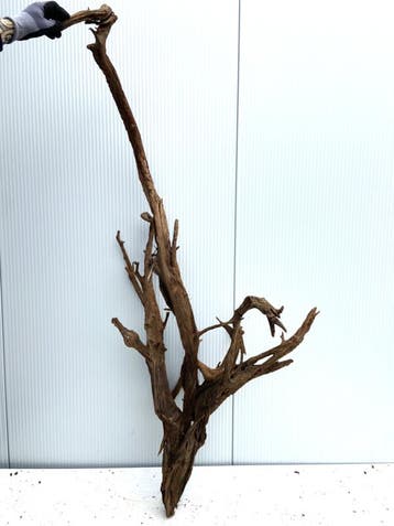 Osaka XL93 uniek aquarium decoratie hout  175x80x40cm, Ophalen of Verzenden, Plant(en), Steen of Hout