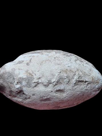 Oud-Grieks Brons Stunning & Rare Ionia Ephesos Sling Bullet