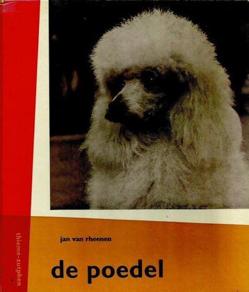 Poedel - Rheenen, Verzenden, Nieuw