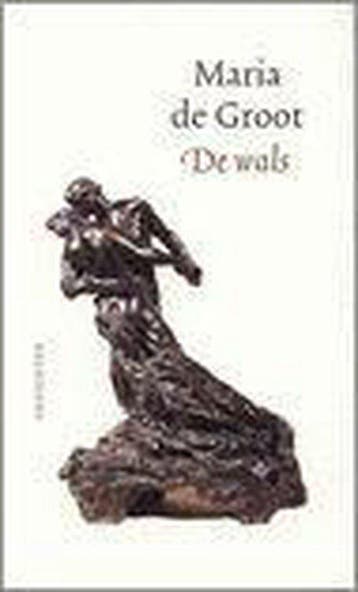 De wals 9789025954529 M. de Groot, Verzenden, M. de Groot