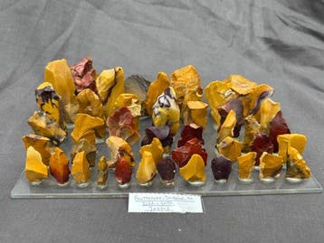 Neolithisch Jaspis Collectie van 46 neanderthaler artefacten