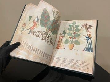 Maestro Ghino - Imago Editore - Segreti e virtù delle erbe.
