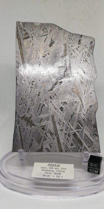 Prachtige meteoriet Aletai. IJzer meteoriet - 350 g, Collections
