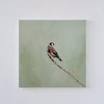 Matthieu van Riel - Goldfinch on a Branch