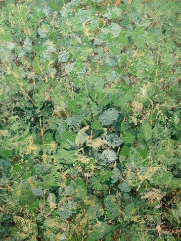 Mara. J XL - Jade Thicket