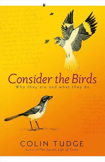 Consider the Birds - Colin Tudge - 9781846140976 - Hardcover, Boeken, Wonen en Tuinieren, Verzenden, Nieuw