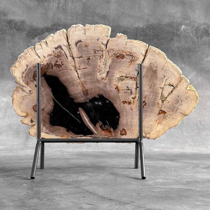 Prachtige snede van versteend hout op een op maat gemaakte, Antiquités & Art, Art | Objets design