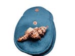 Veiling - Rose Gold Dipped Zeeschelp Hanger