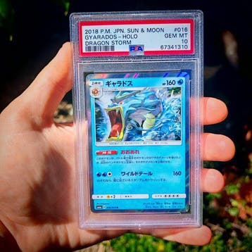 Pokémon - 1 Graded card - Léviator 016 Foil, Carte promo -
