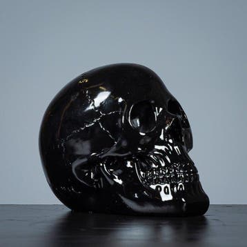sculptuur, Zwarte schedel - 180 mm - 180 mm - Hars - 2022