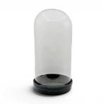 Vitrine - Victoriana - Hout, Kristal - Koepel Taxidermie