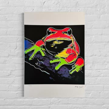 Andy Warhol Kikker (Dieren) Lithografie Arches 300gsm 42x59