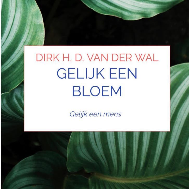 Gelijk een bloem 9789464189407 Dirk H. D. van der Wal, Livres, Livres de cuisine, Envoi